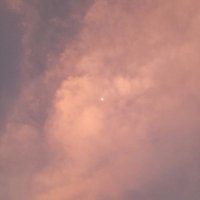 ✨ 芳✨ (@smad_d02) 's Twitter Profile