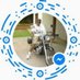 Jose Luiz Pereira dos Santos (Yosef Pereira) (@luiz_yosef55612) Twitter profile photo Jose Luiz Pereira dos Santos (Yosef Pereira) (@luiz_yosef55612) Twitter profile photo