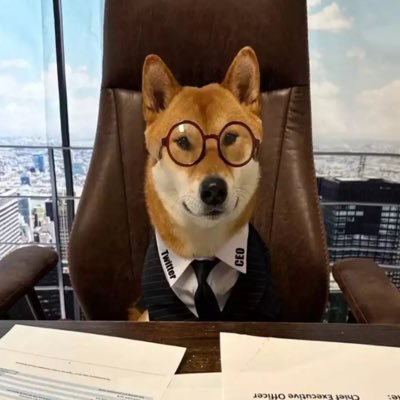 Securitier lawyer specializing in $DOGE