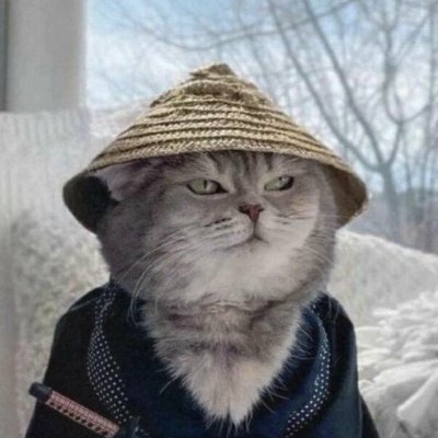 cats a mf samurai, swords up. let’s conquer. $YUKI | https://t.co/G4YOm8MnFc