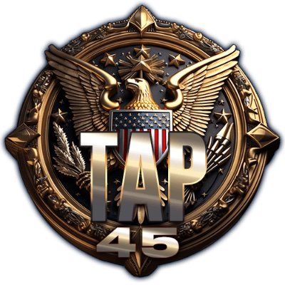 tap45nft's profile picture. In a far far away Parallel Universe an American President NFT collection, stranger than fiction. Who emerged from the cloning machines in the battle for Earth?