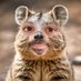 Ryan B (@network_guy8) Twitter profile photo Ryan B (@network_guy8) Twitter profile photo