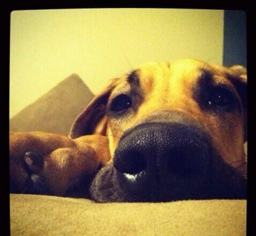 isomero22's profile picture. 