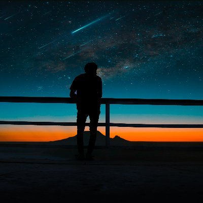 horvath_te18083's profile picture. 