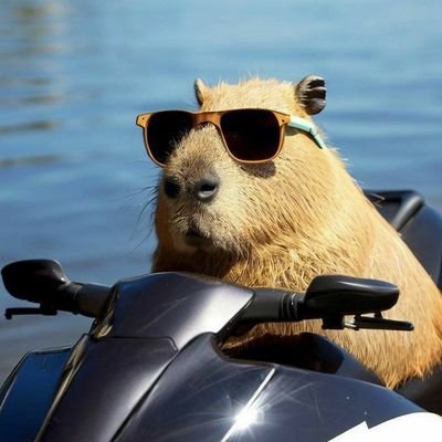 Przedsiębiorca, inwestor, trader - miłośnik partyzantki. Ave Motor Lublin.