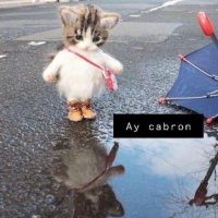 Raylin (@raylinlocks) 's Twitter Profile