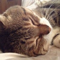 Tak (@takmfkk) 's Twitter Profile