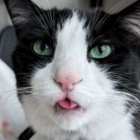 Magnuminet (@magnuminet) 's Twitter Profile