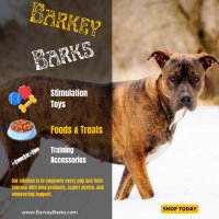 Barkey Barks(@barkeybarks1) 's Twitter Profile Photo
