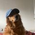 fozi (@foziaaaaaa) Twitter profile photo fozi (@foziaaaaaa) Twitter profile photo