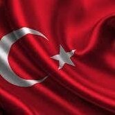 Zafer İslamın ve Türklerin olacak(@TayyipK45041731) 's Twitter Profile Photo