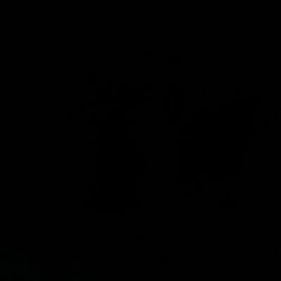 vysouxe's profile picture. 