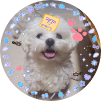 (반동결)🐯해롱해름🐱 (@haereum8_8) 's Twitter Profile Photo (반동결)🐯해롱해름🐱 (@haereum8_8) 's Twitter Profile Photo