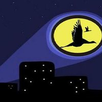 Marc Gustafson (@newsgoose) 's Twitter Profile Photo