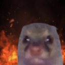 Ruh (@ruhphorte) 's Twitter Profile Photo Ruh (@ruhphorte) 's Twitter Profile Photo