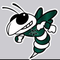 Swarm Hornet(@SwarmHornets) 's Twitter Profile Photo