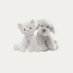 comfort for liaylors (@liaylorthinker) Twitter profile photo comfort for liaylors (@liaylorthinker) Twitter profile photo