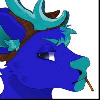 Declan Brush (@dexter_rkyer) 's Twitter Profile