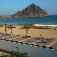 فحل يمني الدمام (@mogb564) 's Twitter Profile