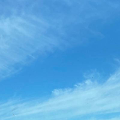 sbella203 Profile Picture