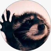 Built on Hedera
Meet Pedro: The meme coin sensation led by Pedro the Raccoon 🦝

Token ID: 0.0.5524699