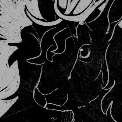 wil 💫さんのプロフィール画像
