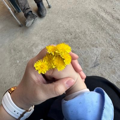 cnkll35's profile picture. 