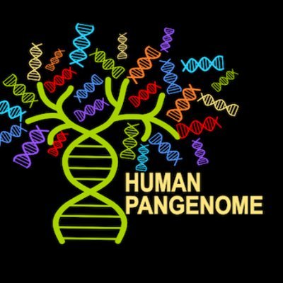 Human Pangenome Reference Consortium