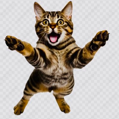 affectionateFLi's profile picture. Donald Trump is the AC.  we are living in the endtimes.  Let’s tell the world Jesus is coming soon!