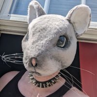 Rogue Rat 🐀(@RogueRotte) 's Twitter Profile Photo