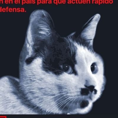 Ayudamos a @felineguardians a difundir su información sobre la tortura de gatos en China