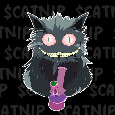 Time to get $CATNIP and ride the vibe.

https://t.co/R4b9tQRXDW