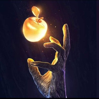 sandraE72205377's profile picture. 