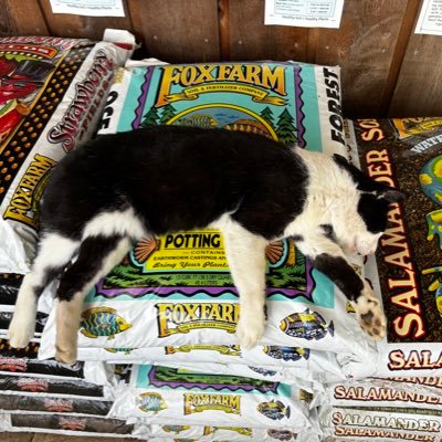 Duckl02's profile picture. 