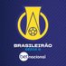 Brasileirão Betnacional - Série B (@BrasileiraoB) Twitter profile photo