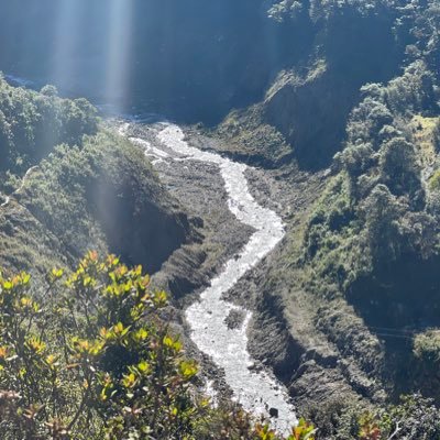 MooreMichael27's profile picture. Not so casual F1 fan