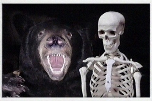 omahonynoel's profile picture. 