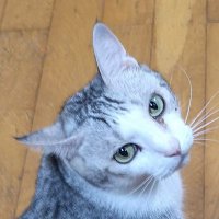 芳之 (@ufgijqr9b847228) 's Twitter Profile Photo 芳之 (@ufgijqr9b847228) 's Twitter Profile Photo