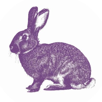 PrplRabbitBeats Profile Picture