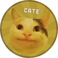 Coin Cate(@catecoin_st) 's Twitter Profile Photo