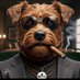crypto kid coin (@skunkcryptoking) Twitter profile photo crypto kid coin (@skunkcryptoking) Twitter profile photo