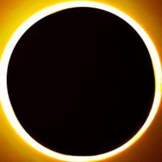 xileNoblivion's profile picture. 