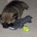 Tracy Arsenault - @Tarsen3 - Twitter