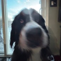 Hack695 (@hack6955) 's Twitter Profile