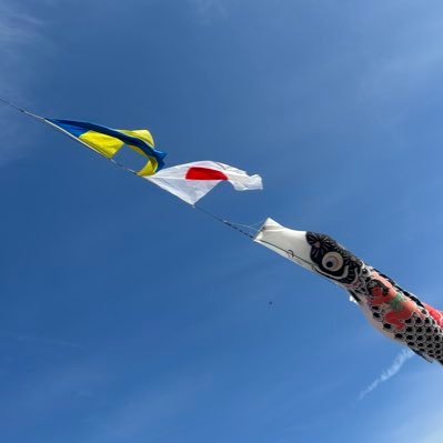 TsubokawaHiro's profile picture. 日本保守党党員です。日本を守りたい。今こそ日本の政治を変えましょう‼️