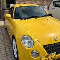 ハナクマ (@kumikoueta) 's Twitter Profile Photo