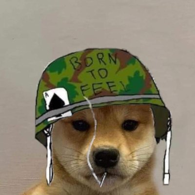 SapphireGainz's profile picture. Crypto, Stocks, Memes & IDK | ad astra | Claim your daily $1 bonus below👇