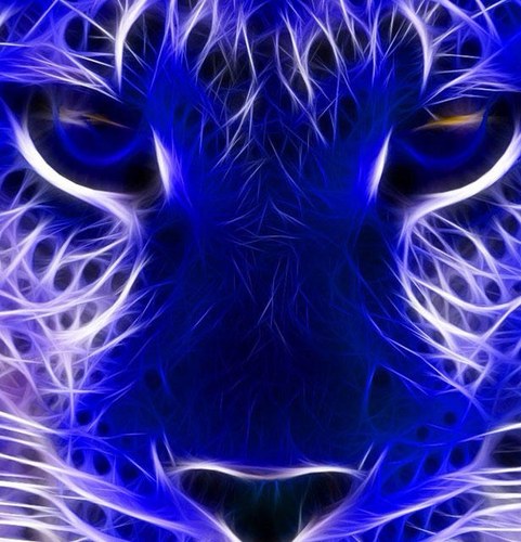 lilocov's profile picture. 