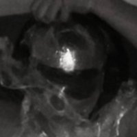 Gimp (@russ14rrr) 's Twitter Profile