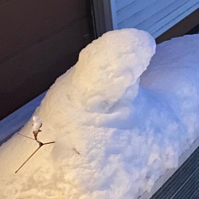 ふにゃこさんのプロフィール画像
